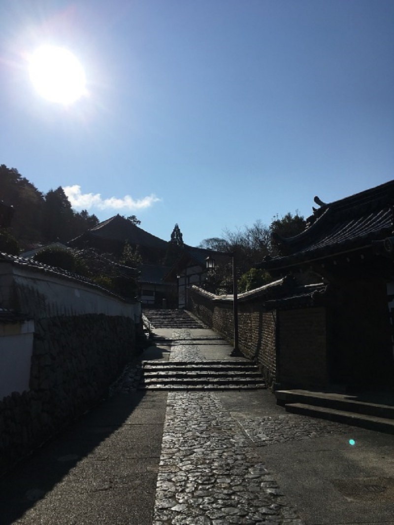 奈良で一番素敵な道